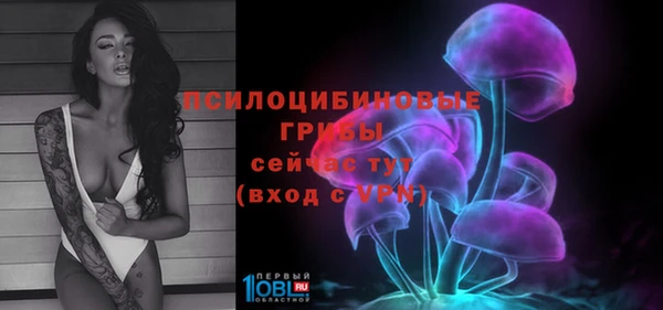MESCALINE Аркадак