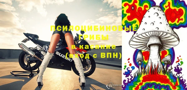 MESCALINE Аркадак