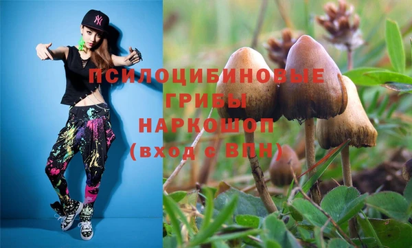дмт Арсеньев