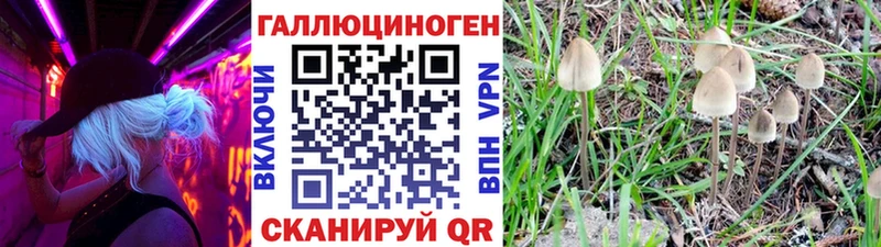 МЕГА сайт цена Валдай Галлюциногенные грибы прущие грибы